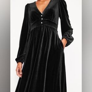 Biden Jocelyn Velvet Tea Dress